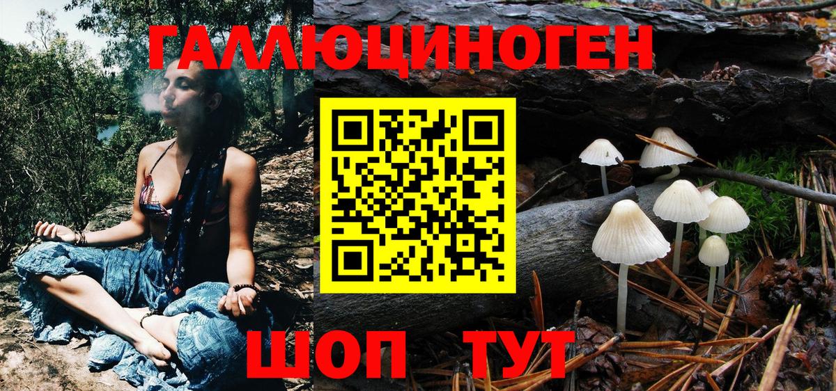 Галлюциногенные грибы Psilocybe Санкт-Петербург