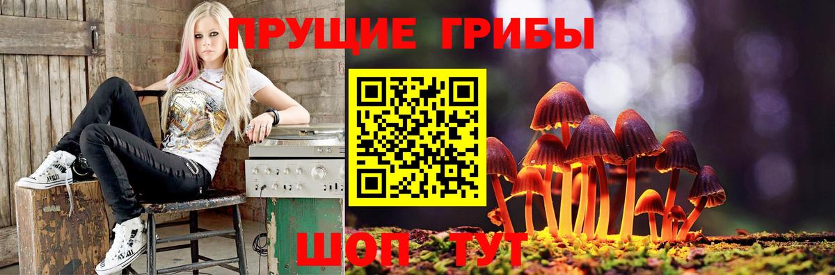 Санкт-Петербург  Галлюциногенные грибы прущие грибы  Галлюциногенные грибы Psilocybine cubensis  Вход с VPN 